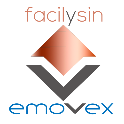 Logo Facilysin